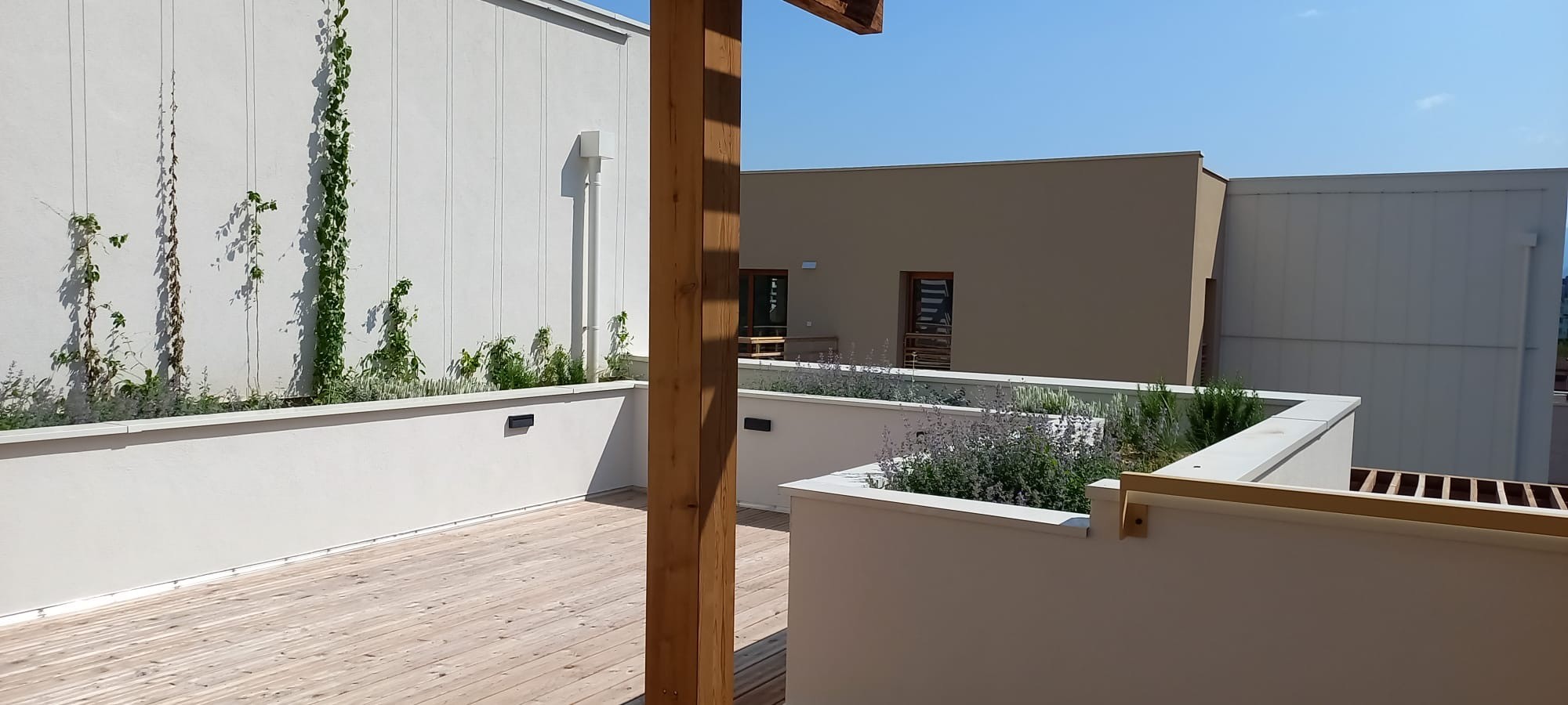 Bois & Rêves – Construction de 27 logements